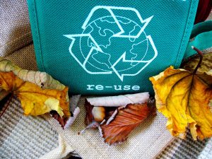 Reusable Shopping Bag