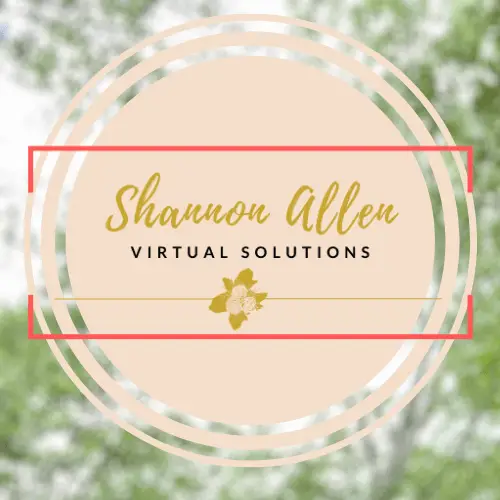 shannon allen virtual solutions logo