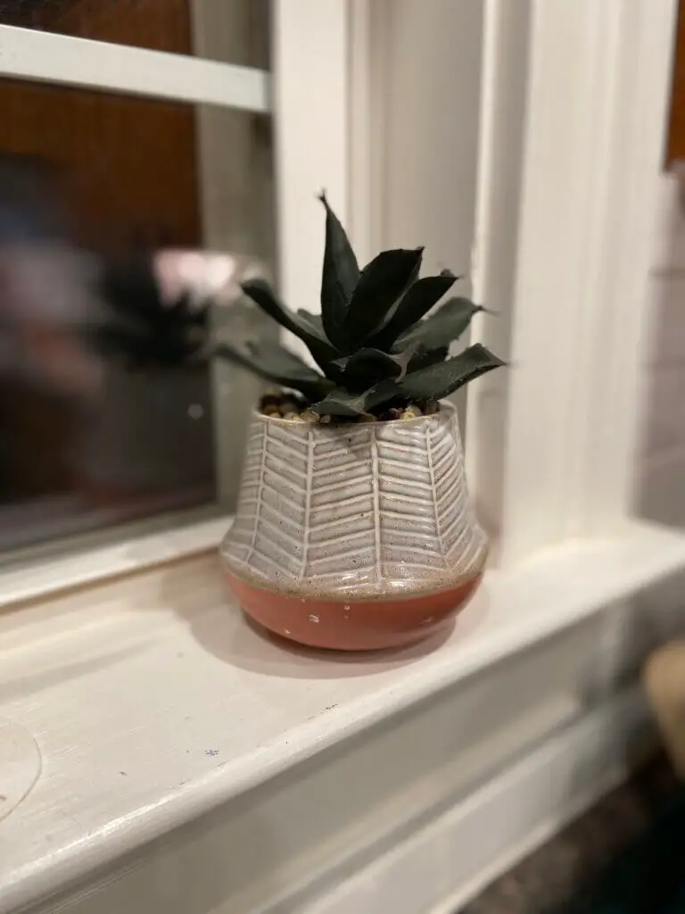 photo of fake plant and vase